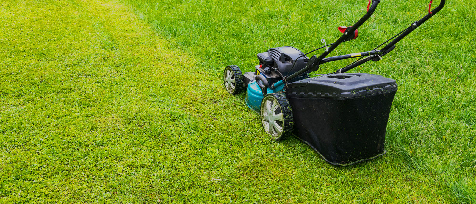 Take Care Of Your Lawn 